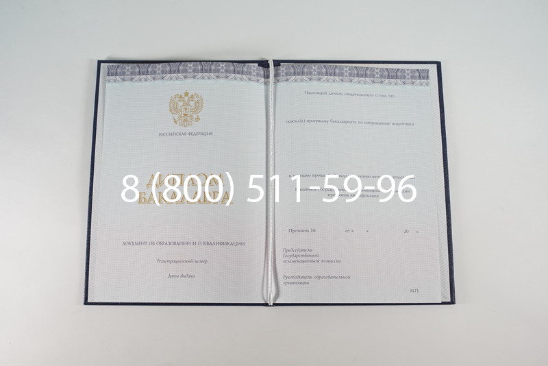 Диплом бакалавра (Киржач) 2014-2024 года в Элисте