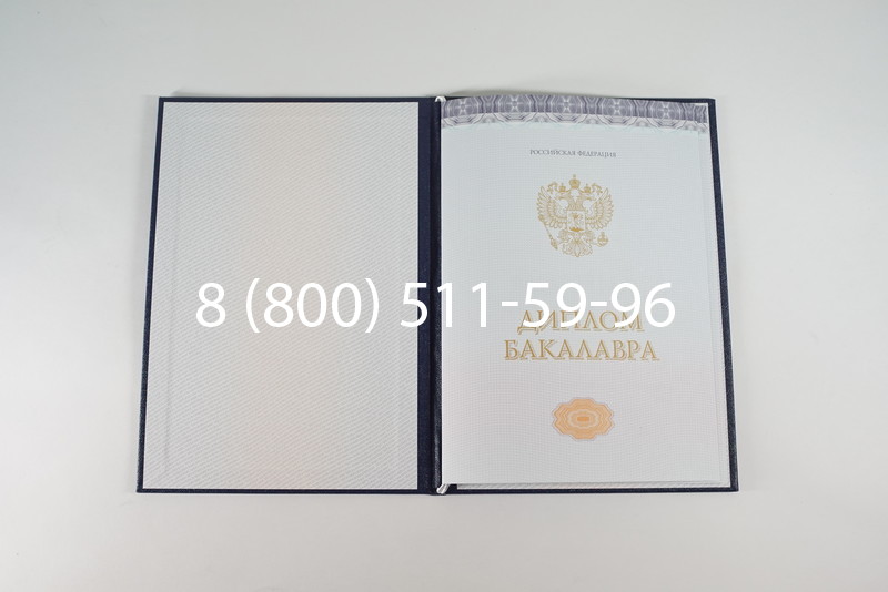 Диплом бакалавра (Киржач) 2014-2024 года в Элисте