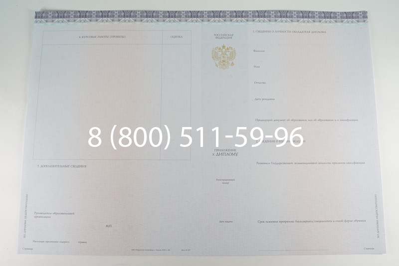 Диплом бакалавра (Киржач) 2014-2024 года в Элисте