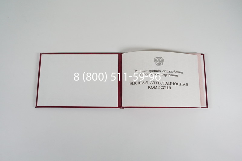 Диплом доктора наук 1995-2006 года в Элисте Диплом доктора наук 1995-2006 года в Элисте