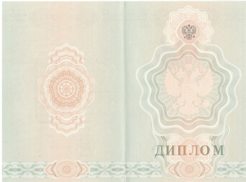 Купить Диплом о начальном образовании  2007-2009 годов в Элисте