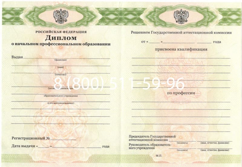 Купить Диплом о начальном образовании  2010-2024 годов в Элисте