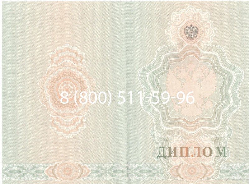 Купить Диплом училища 2007-2009 годов в Элисте